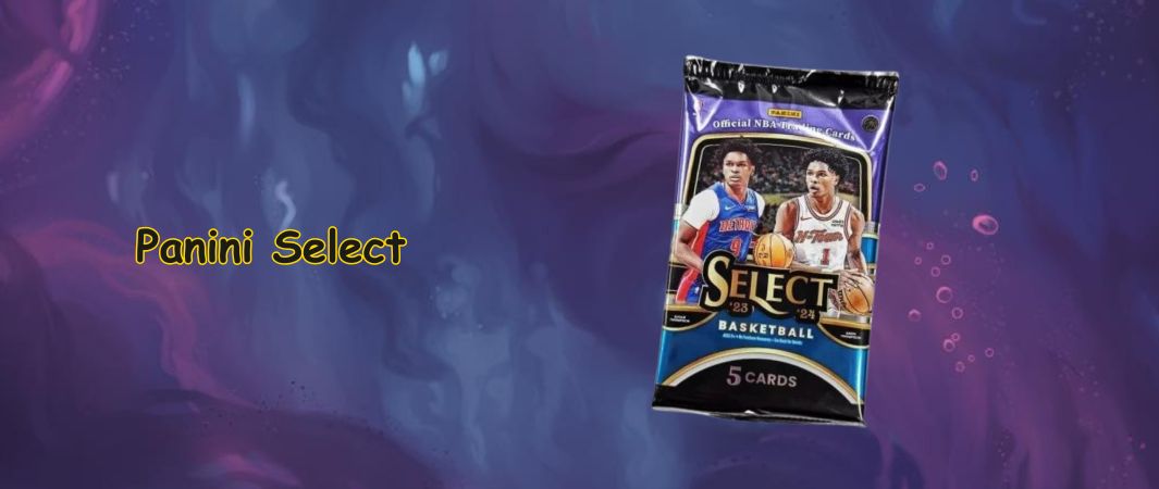 nba panini karty